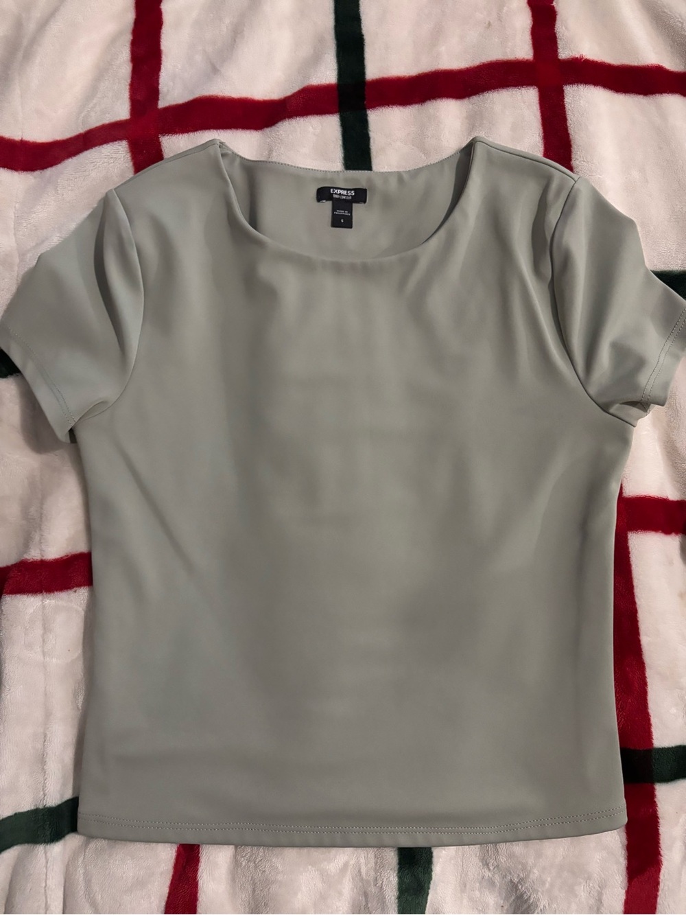 Express Women's Short Sleeve Crewneck Top - Light Sage